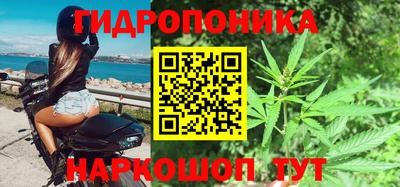 PSILOCYBIN Гусиноозёрск