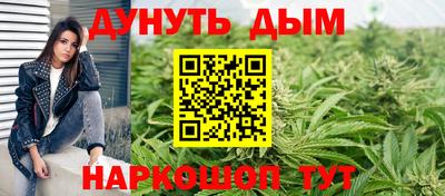 шишки Гусь-Хрустальный