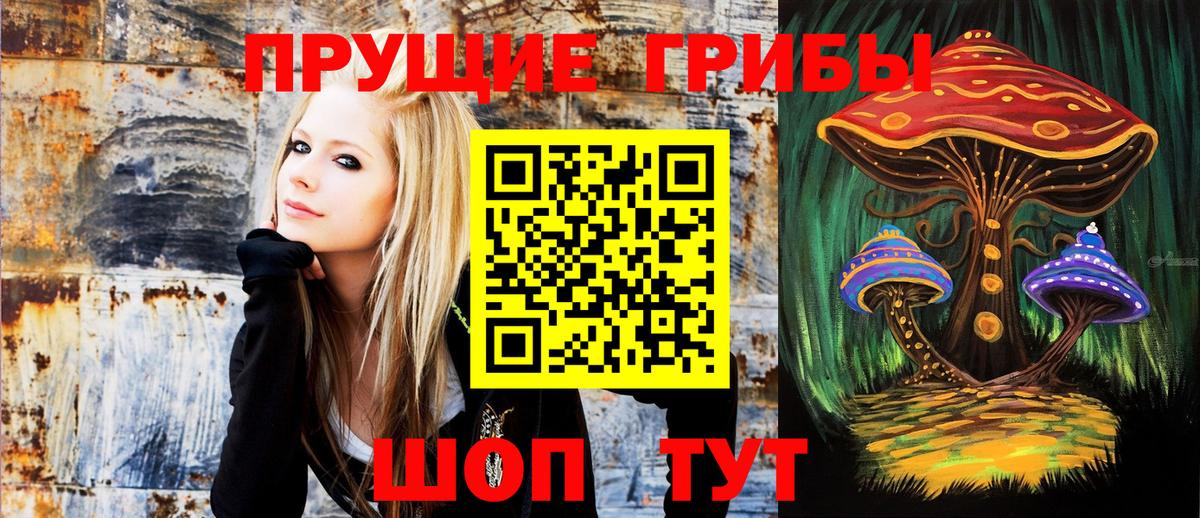 Псилоцибиновые грибы мухоморы  Псилоцибиновые грибы прущие грибы  Кудымкар 