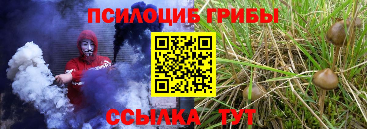 Псилоцибиновые грибы MAGIC MUSHROOMS Кудымкар